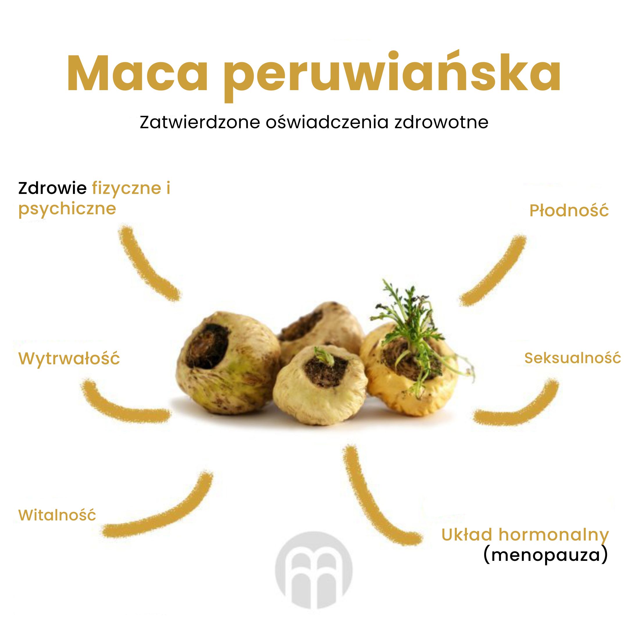 (Polština) Maca peruánská Schválená zdravotní tvrzení